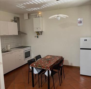 La casa del Geko rosa