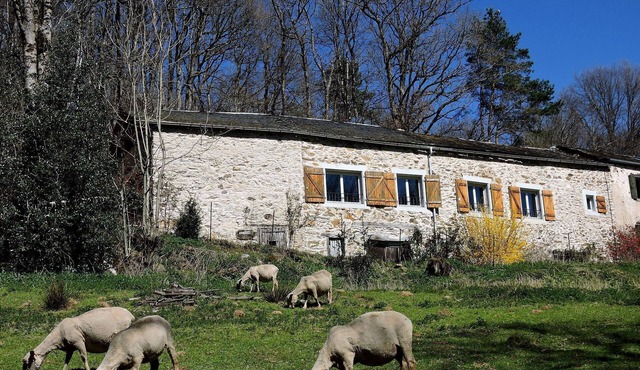 La Fenial, a spacious stone cottage, accessible to people with disabilities, with air conditioning, nestled in the heart of nature