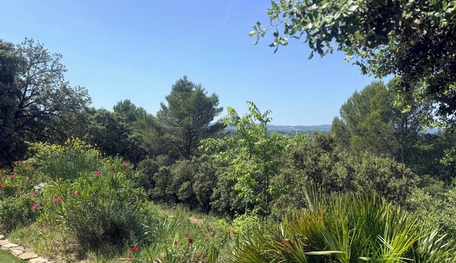 La Provence