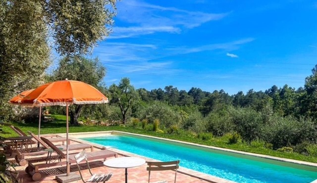 La ruche d'or : Mazet with 3 bedrooms - swimming pool