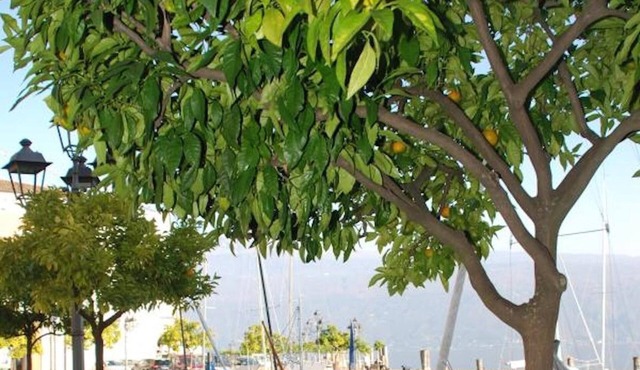 Lake Garda Piazza Apartment - St Loe