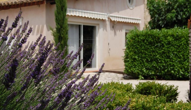 Le gite de lOlivier en Provence