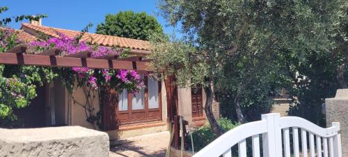 Le Jardin des Agrumes-Maison moderne avec terrasse ombragée à Istres