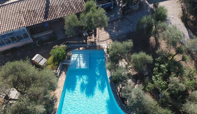 Magnificent villa in olive grove
