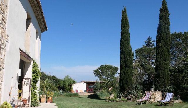Mas Baudran, a bird paradise on the outskirts of Arles.