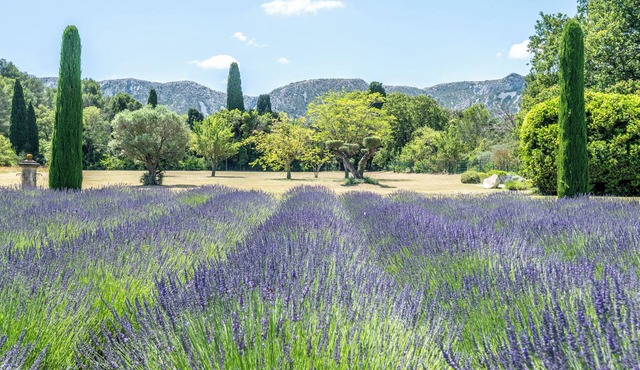 Mas D'exception au Pied des Alpilles
