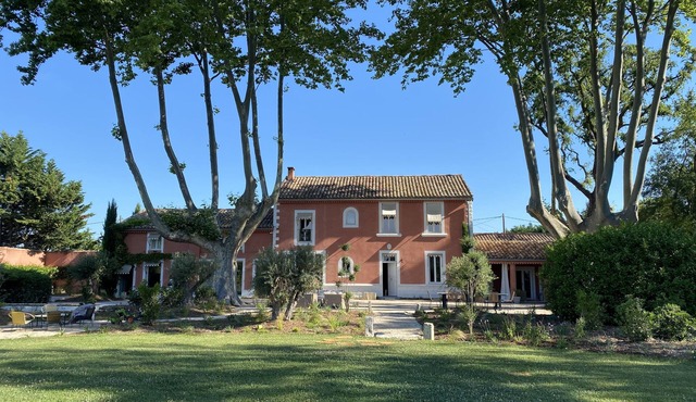 Mas Paradis in Mollégès