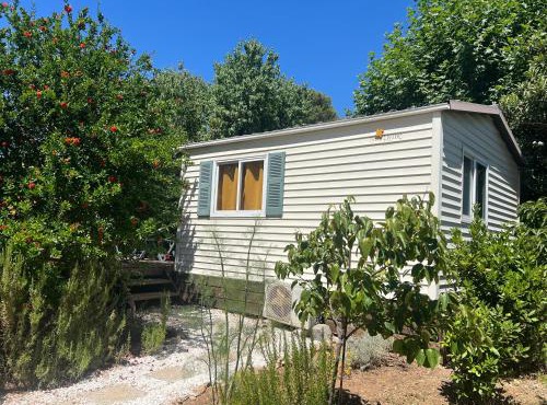 Mobil home devant un grenadier