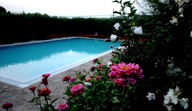 Newly renovated apartment on the ground of organic farm, infinity pool