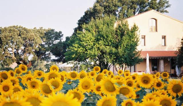 Podere Le Querce