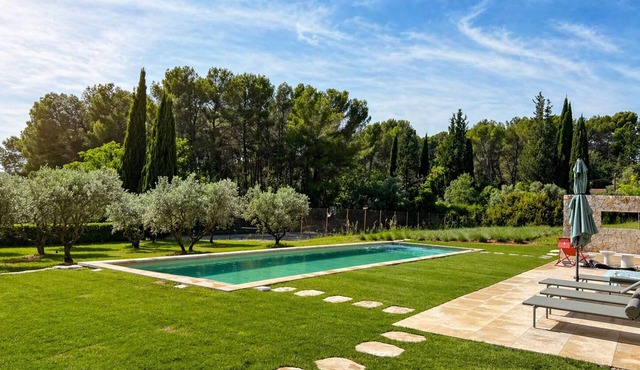 Provencal haven of peace - House in the heart of an olive grove