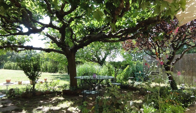 Quiet flat in Bonnieux countryside