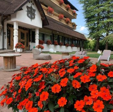 Rauzi Hotel Garnì & apartments