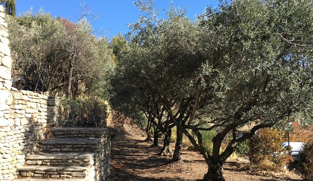 Rental House Bonnieux Luberon Provence