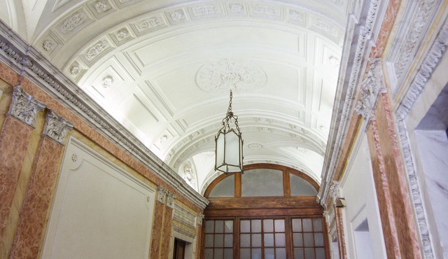 Rinidia Roma Centro