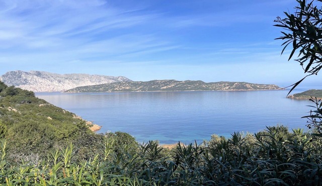 SAN TEODORO PUNTA EST GIARDINO VISTA MARE