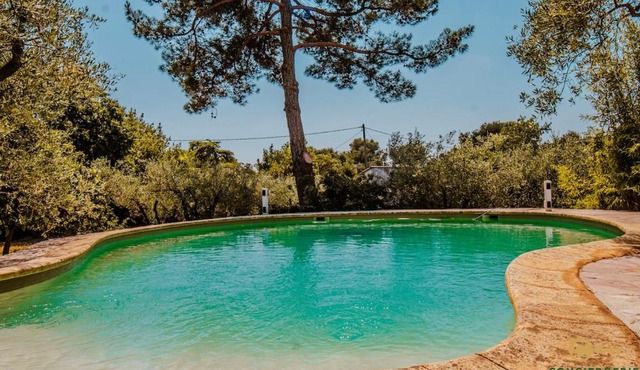 Soleil, cigales & piscine dans les hauts de Nîmes