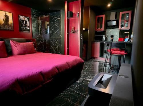 Studio Cinéma privé Centre ville & King size