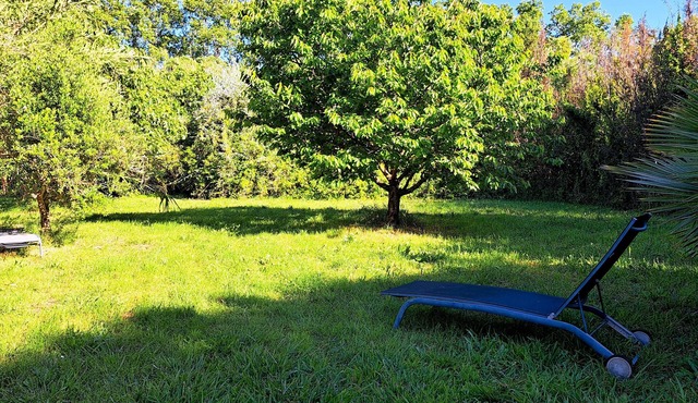 Sunny Garden Cottage - Hyères, 5 minutes from the beaches