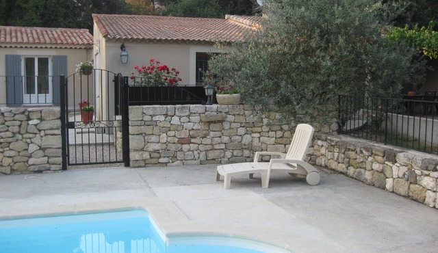 Sunny olive trees