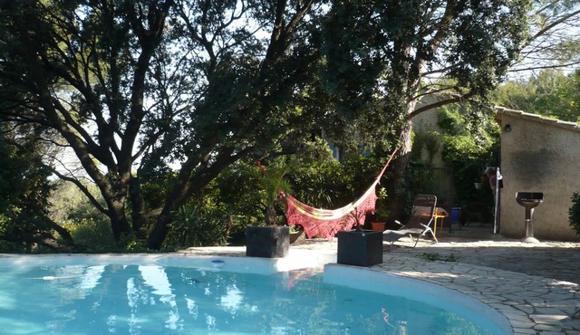 Superb detached house on a hill facing the Palais des Papes