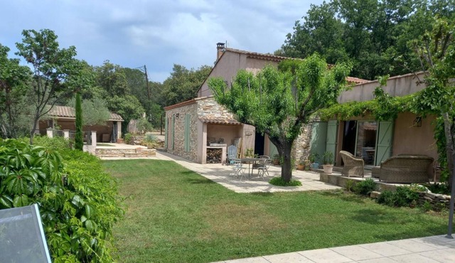 Under the olive trees - Cabasse