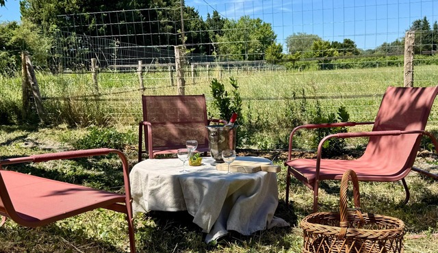 Vacation Home in the Alpilles, Provence