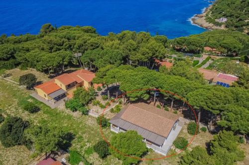 Villa Artistica