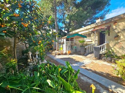 Villa des cèdres La Franqui
