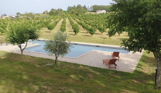 Villa "Domus Nirale" with Pool, Terrace & Wi-Fi
