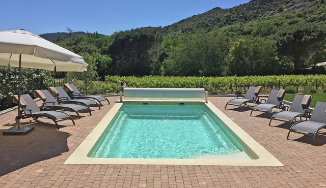 Villa in Plan-de-la-Tour with pool & vineyard view
