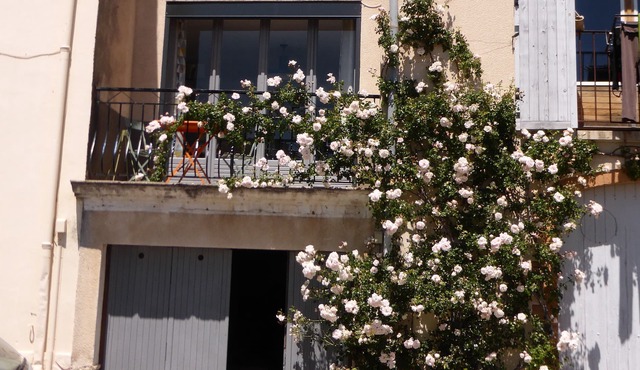 Village house