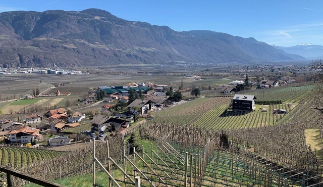 Weingut Bachgütl - Vacation on a beautiful piece of earth