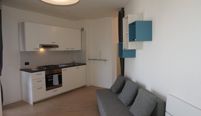 White Black - Large one room apartment