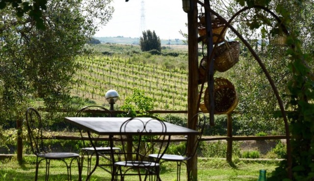 Wonderful accommodation near Saturnia on the border of Tuscany and Lazio