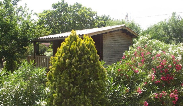 Wooden chalet with large terrace