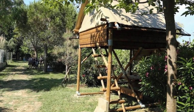 ZEcamping 4 étoiles piscine chiens acceptés club enfant tente BBQ 8m2