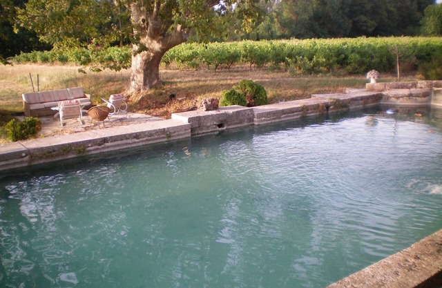 Domaine Du Dragon 