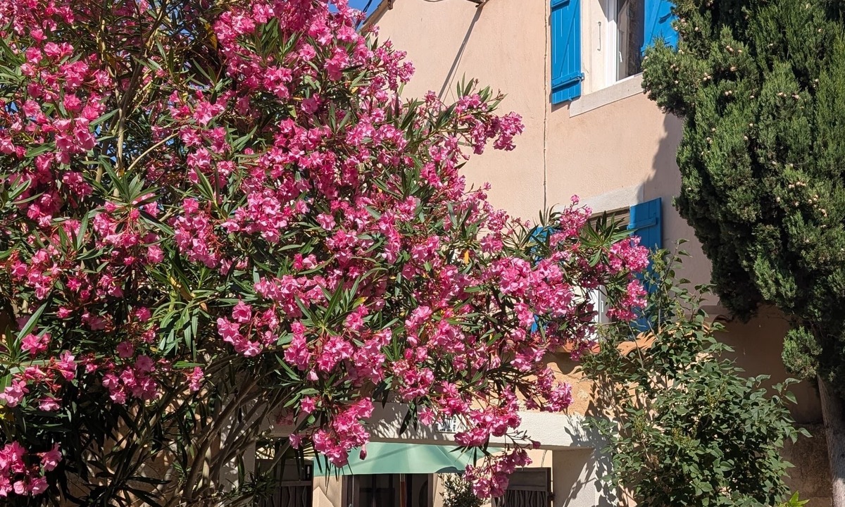 Mallemort House | Sailing back in time with modern comforts and Provencal charm in a hilltop village