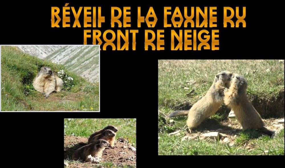 Photo of Others in Selonnet