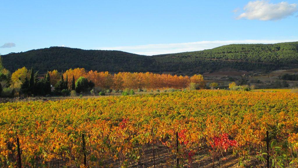 Photo of Outdoor in Thezan-des-Corbieres