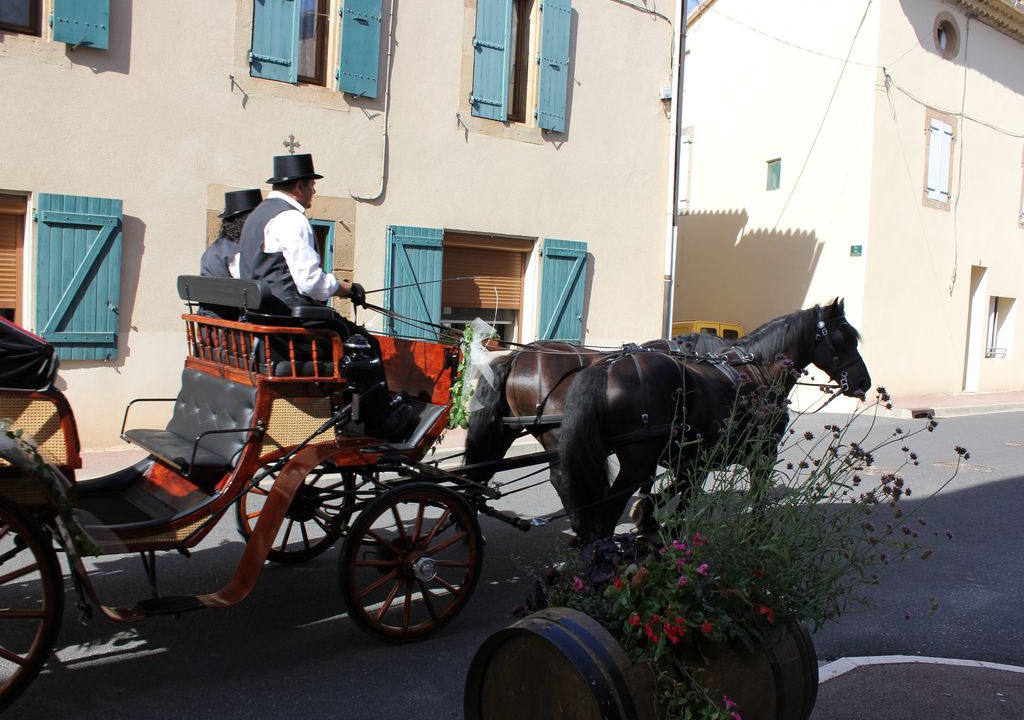 Photo of Others in Thezan-des-Corbieres