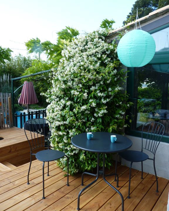 Photo of Patio Balcony in Saussan
