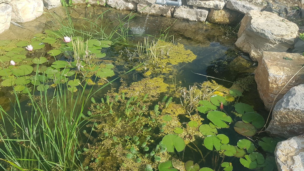 Photo of Outdoor in Flayosc