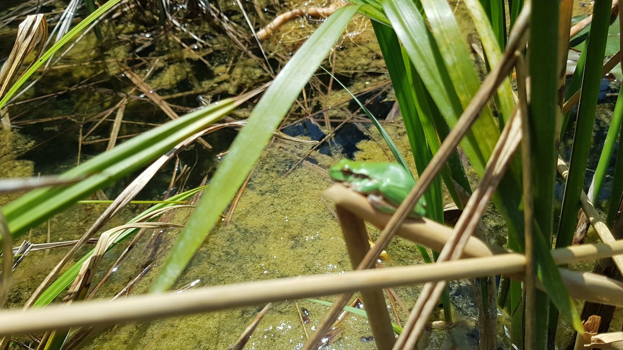 Photo of Outdoor in Flayosc