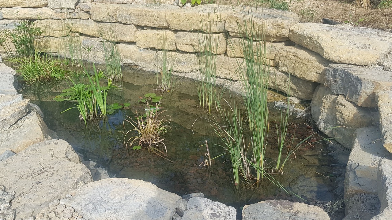 Photo of Outdoor in Flayosc