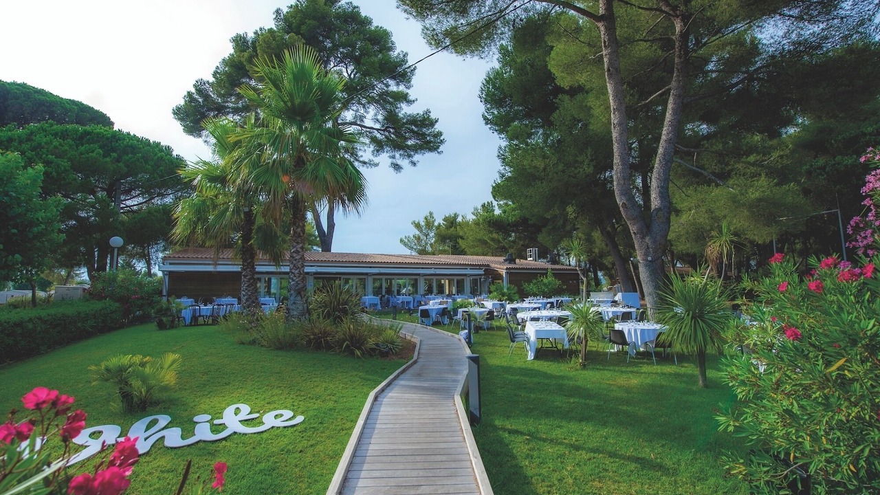 Photo of Others in Hyeres
