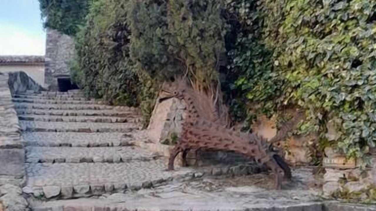 Photo of Outdoor in Seillans