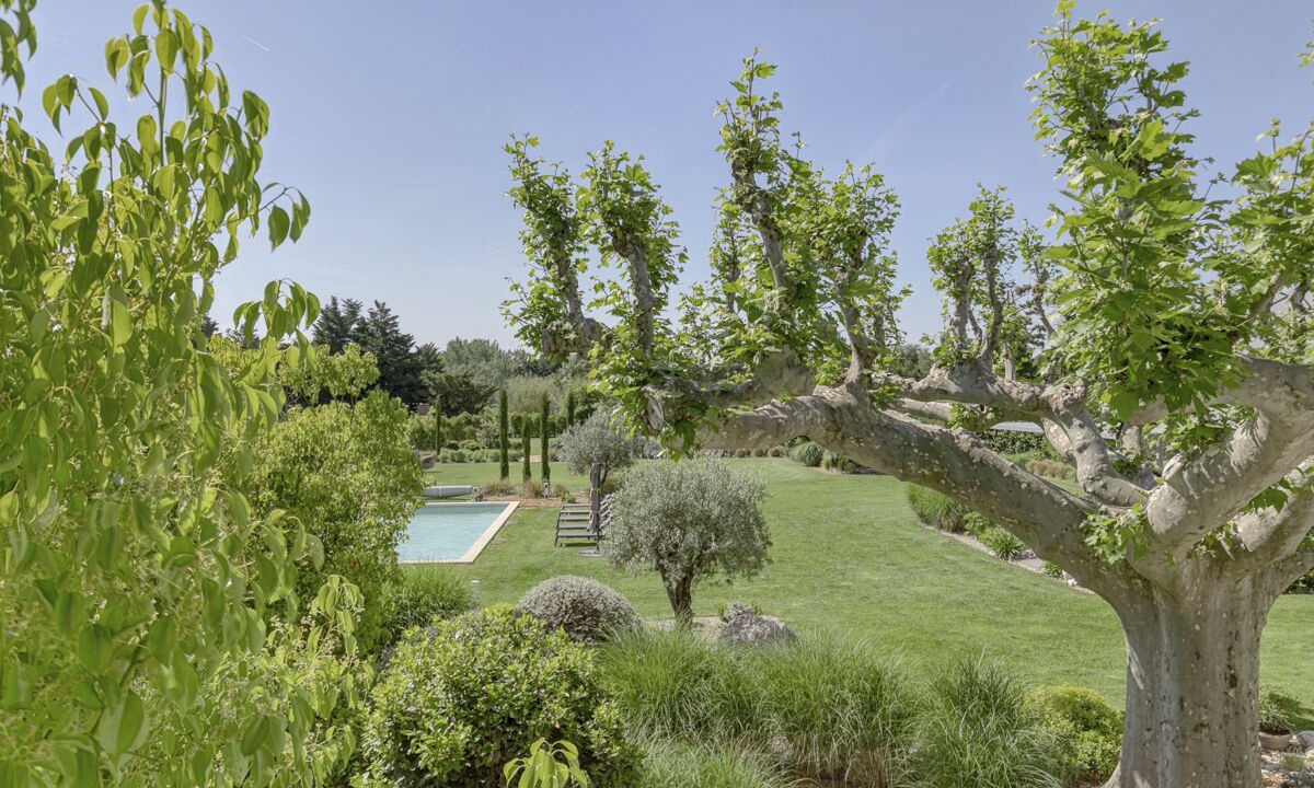 Photo of Outdoor in Cavaillon