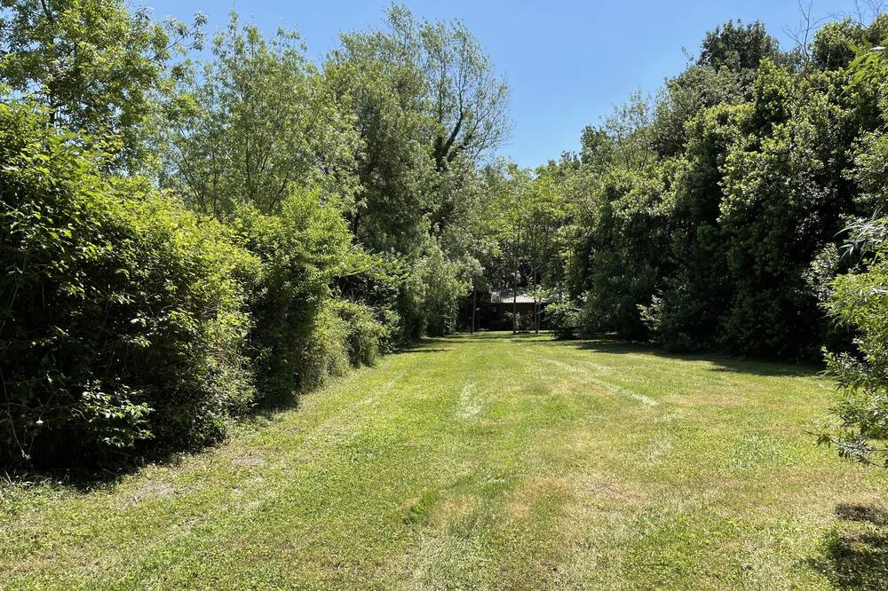 Photo of Outdoor in St.-Remy-de-Provence